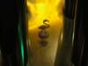 dsc00711_small.jpg