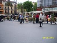 _0429_small.jpg