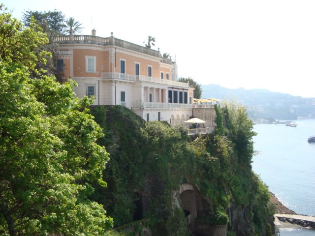 dsc00713.jpg