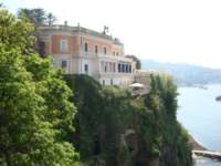 dsc00713_small.jpg