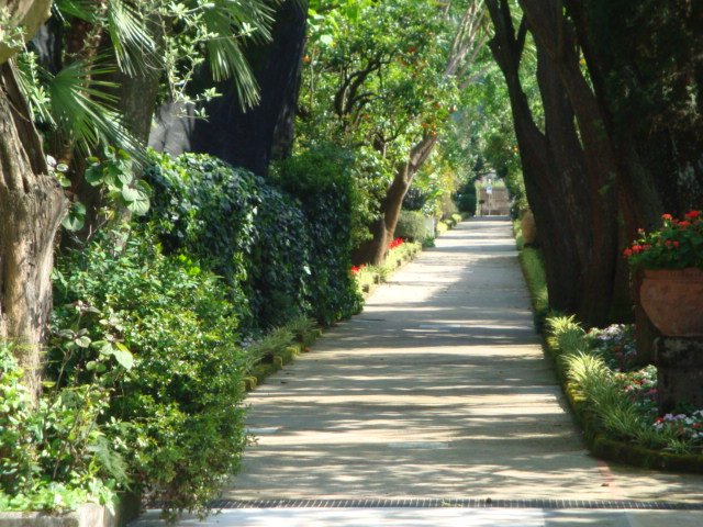 dsc00715.jpg