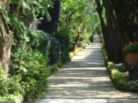 dsc00715_small.jpg