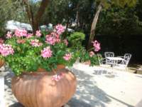 dsc00718_small.jpg