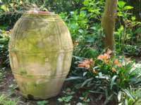 dsc00720_small.jpg