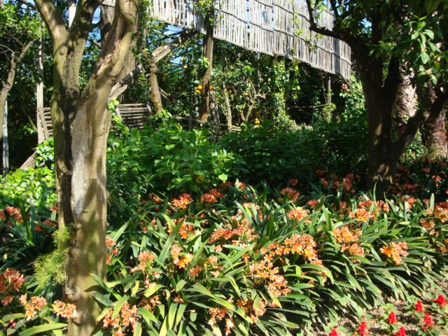 dsc00721.jpg