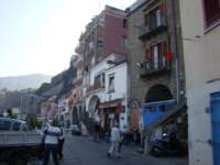 dsc00735_small.jpg