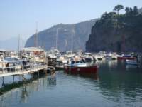 dsc00739_small.jpg