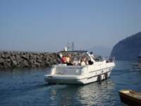 dsc00741_small.jpg