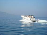 dsc00747_small.jpg