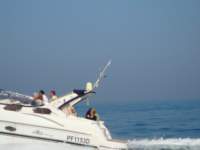 dsc00748_small.jpg
