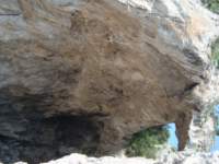 dsc00752_small.jpg