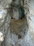 dsc00760_small.jpg