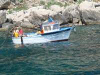 dsc00764_small.jpg