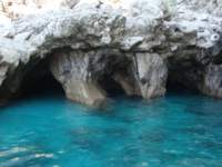 dsc00775_small.jpg