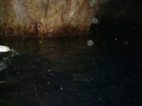 dsc00781_small.jpg