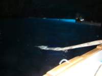 dsc00786_small.jpg