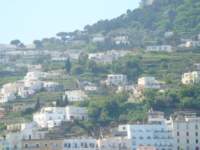 dsc00795_small.jpg