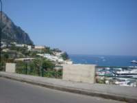dsc00800_small.jpg