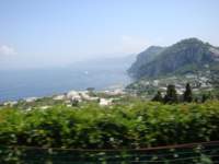 dsc00802_small.jpg