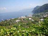 dsc00803_small.jpg