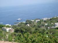 dsc00806_small.jpg