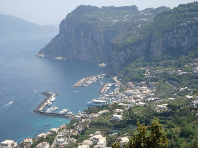 dsc00809.jpg