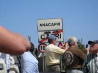 dsc00811_small.jpg
