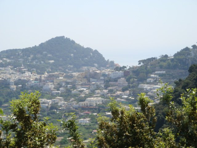 dsc00813.jpg