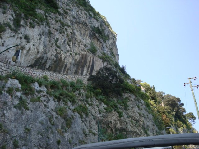 dsc00817.jpg