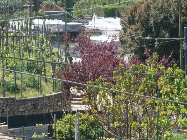 dsc00820.jpg