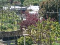 dsc00820_small.jpg
