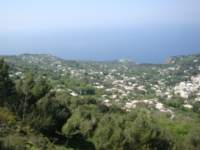 dsc00821_small.jpg