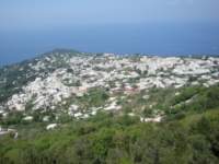 dsc00822_small.jpg