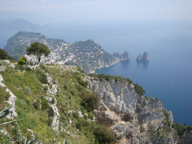 dsc00823.jpg