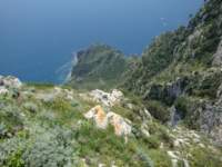 dsc00826_small.jpg
