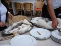 dsc00842_small.jpg