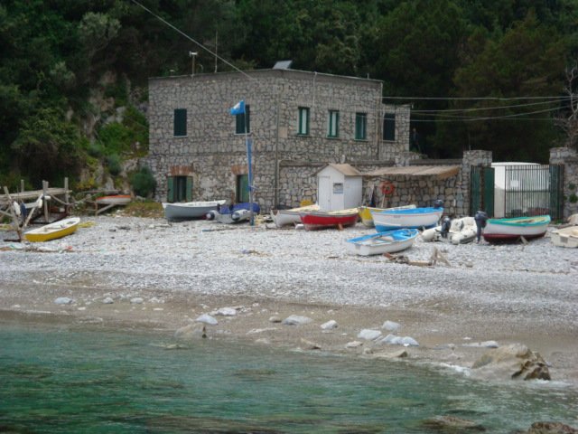 dsc00846.jpg