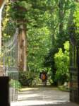 dsc00849_small.jpg