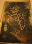 dsc00854_small.jpg
