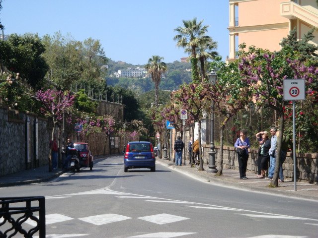 dsc00877.jpg