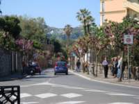 dsc00877_small.jpg