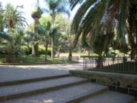 dsc00878_small.jpg