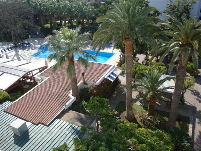 dsc00974.jpg