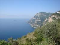 dsc00976_small.jpg