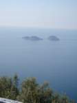 dsc00978_small.jpg