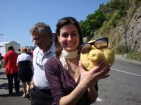 dsc00986_small.jpg