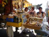 dsc00990_small.jpg
