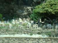 dsc01009_small.jpg
