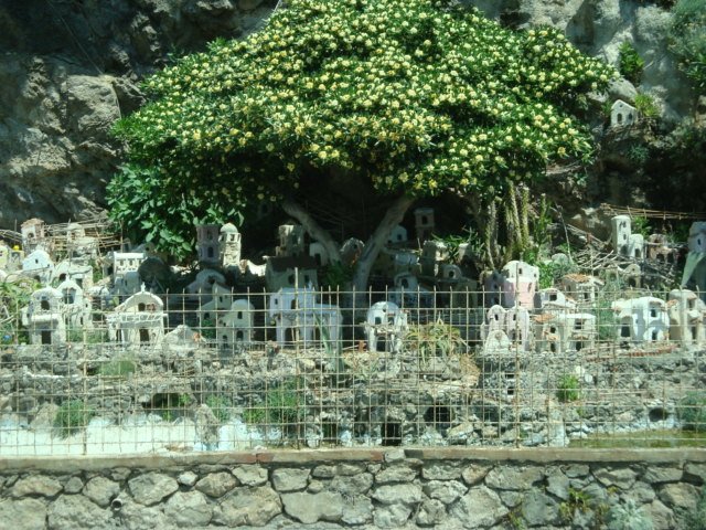 dsc01010.jpg