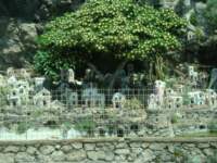 dsc01010_small.jpg
